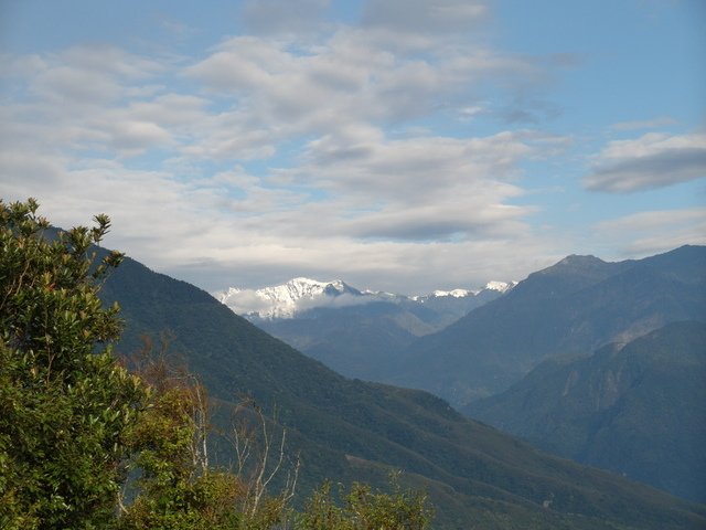 鯉魚山步道 (110).JPG