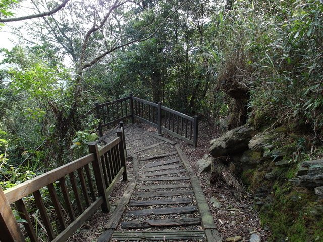 鯉魚山步道 (123).JPG