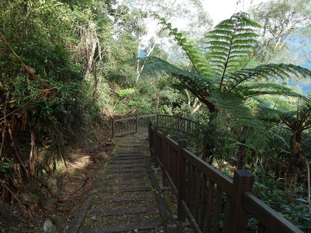 鯉魚山步道 (124).JPG