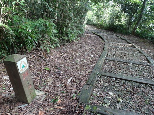 鯉魚山步道 (125).JPG