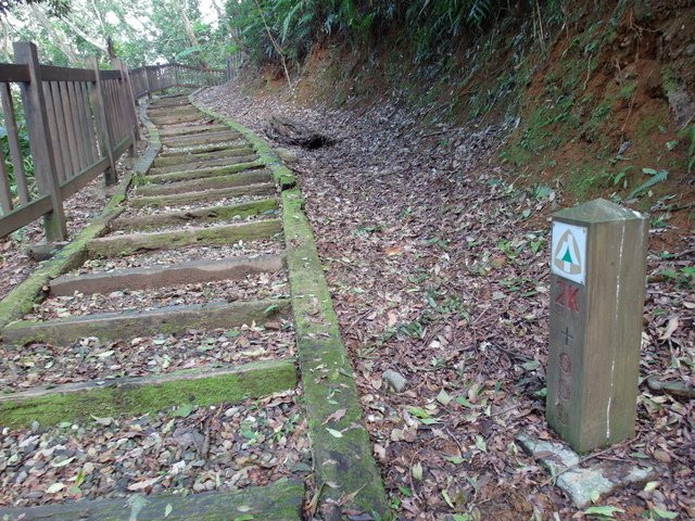 鯉魚山步道 (127).JPG