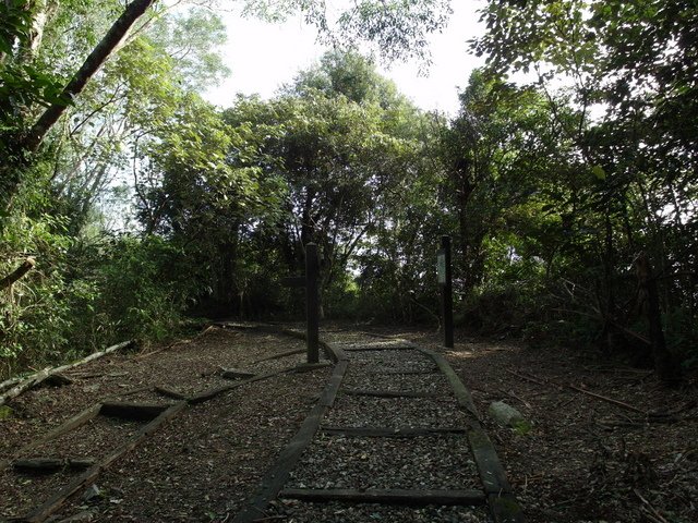 鯉魚山步道 (129).JPG