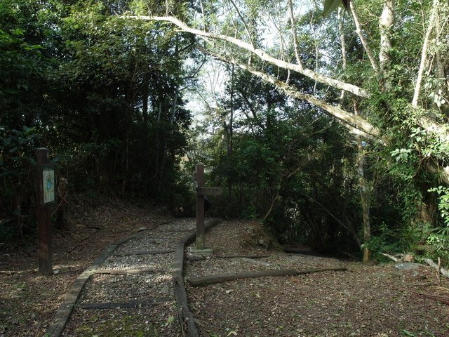 鯉魚山步道 (132).JPG