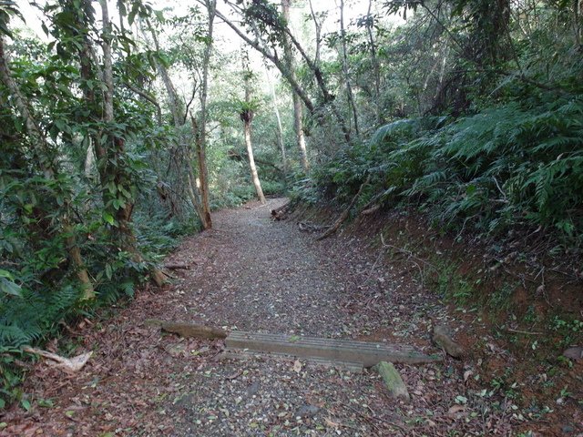 鯉魚山步道 (134).JPG