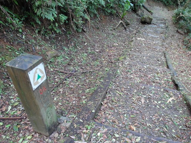 鯉魚山步道 (136).JPG