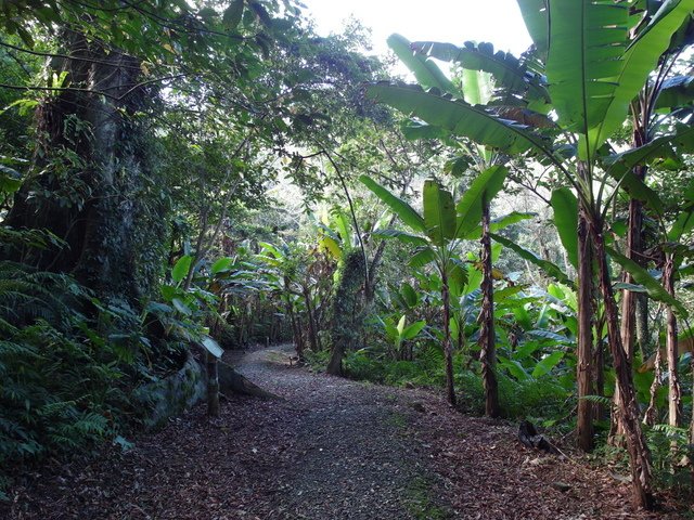 鯉魚山步道 (137).JPG