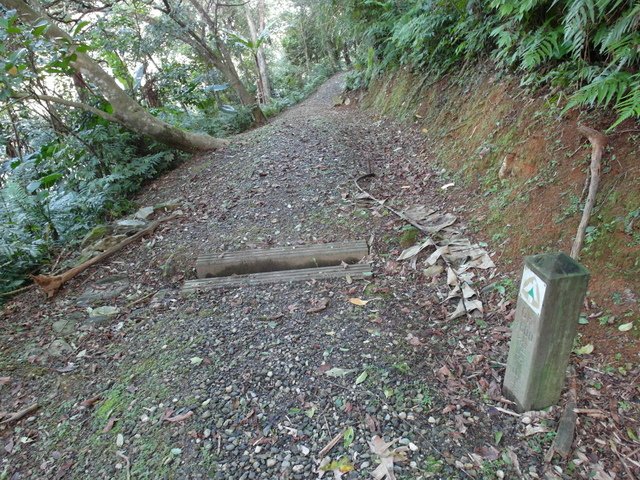 鯉魚山步道 (141).JPG