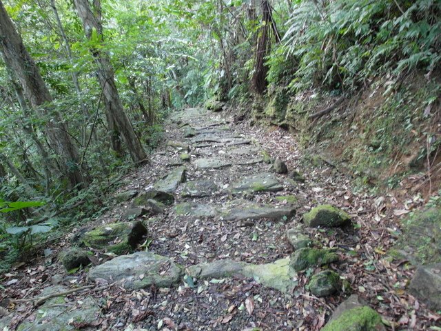 鯉魚山步道 (142).JPG