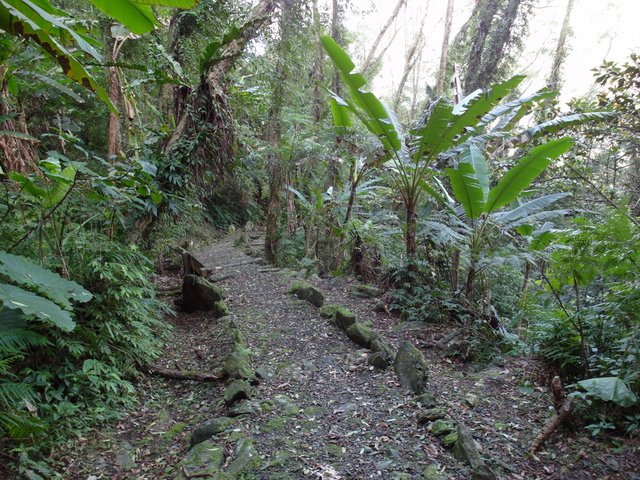 鯉魚山步道 (143).JPG