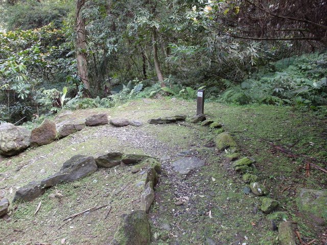 鯉魚山步道 (146).JPG