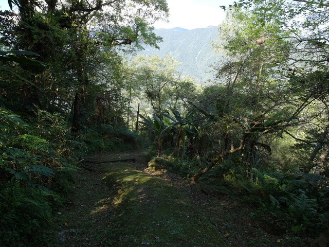 鯉魚山步道 (154).JPG