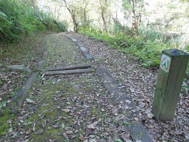 鯉魚山步道 (157).JPG