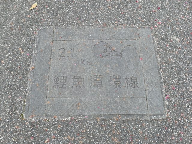 鯉魚山步道 (172).JPG