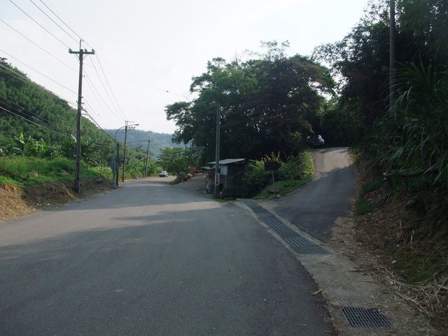 桃園縣 大溪鎮 總督府步道 (117).JPG