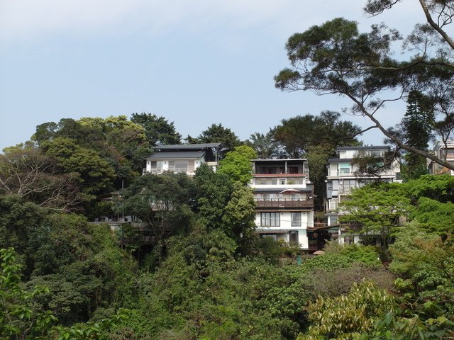 大崙尾山 (7).JPG