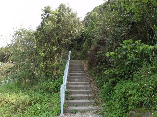 大崙尾山 (34).JPG