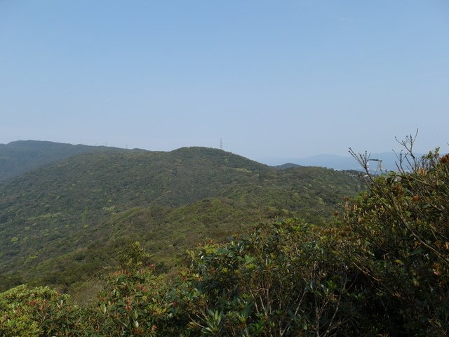 大崙尾山 (64).JPG