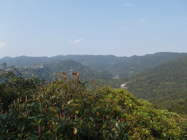 大崙尾山 (65).JPG