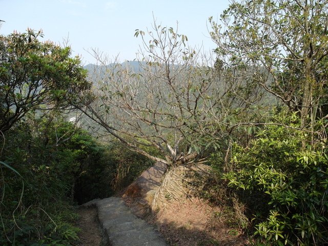 大崙尾山 (66).JPG