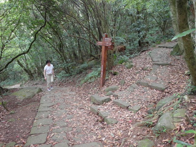 清天宮步道 (43).JPG