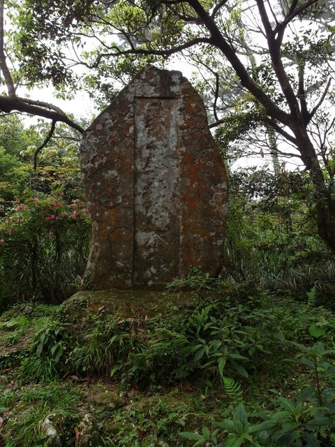 清天宮步道 (48).JPG