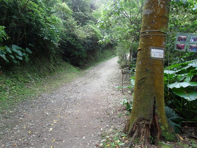 蘇澳 七星嶺、蘇澳山 (30).JPG