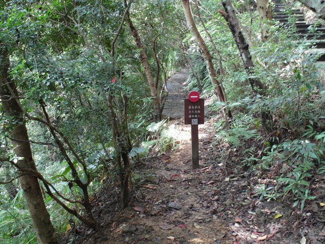 碧潭山 (115).JPG