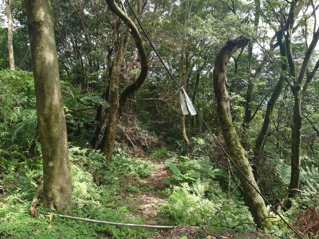 大崎頭山、直潭山 (26).JPG