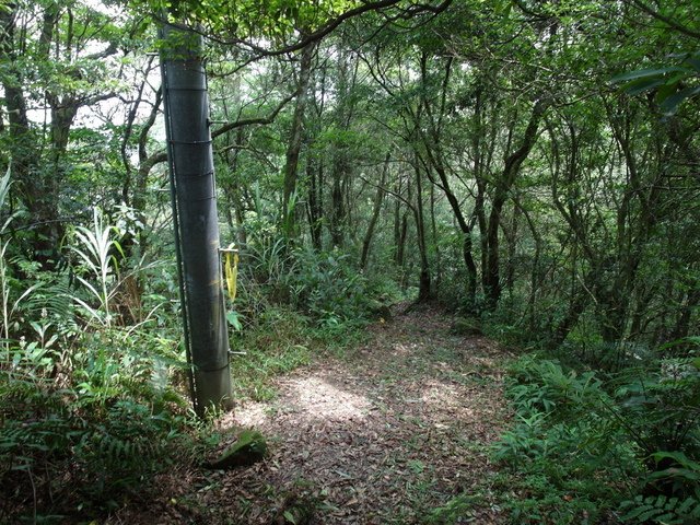 大崎頭山、直潭山 (110).JPG