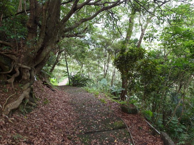 屈尺古道、屈尺山、青獅山 (150).JPG