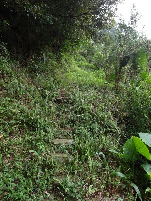 屈尺古道、屈尺山、青獅山 (152).JPG