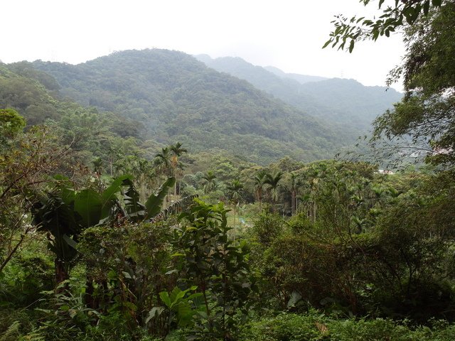 屈尺古道、屈尺山、青獅山 (153).JPG