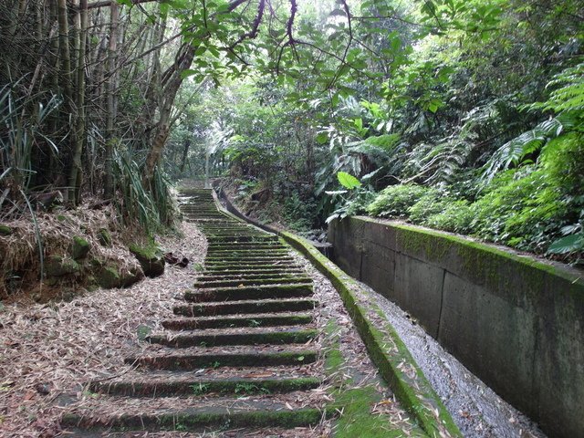 屈尺古道、屈尺山、青獅山 (164).JPG