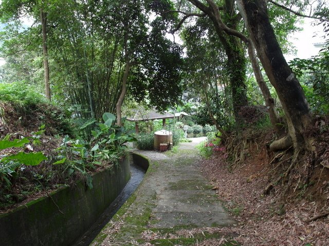 屈尺古道、屈尺山、青獅山 (165).JPG