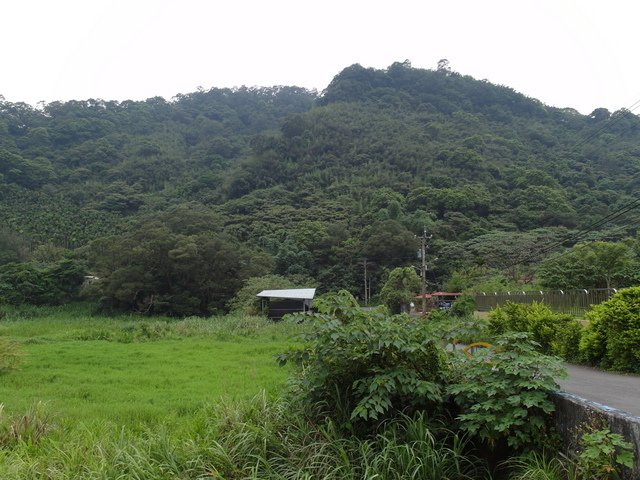 屈尺古道、屈尺山、青獅山 (173).JPG