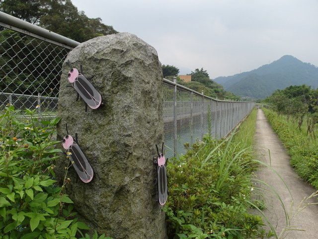 屈尺古道、屈尺山、青獅山 (174).JPG