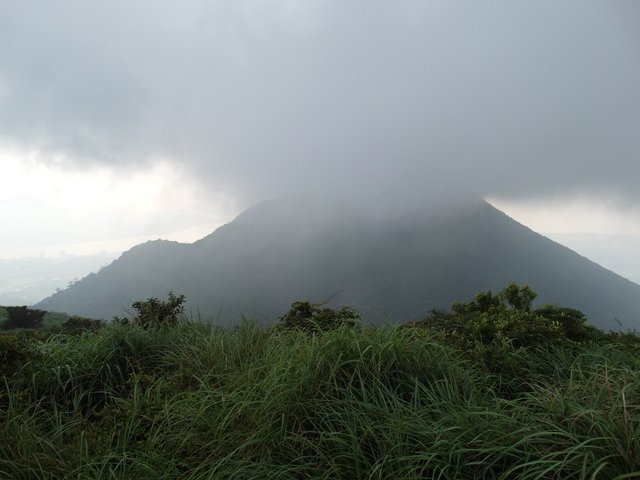 大屯山主峰、南峰、西峰登山步道 (160).JPG