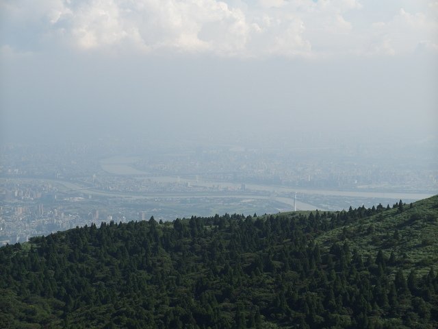 大屯山主峰、南峰、西峰登山步道 (211).JPG