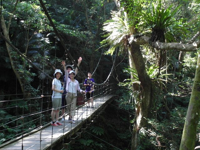 大板根森林度假區 (48).JPG