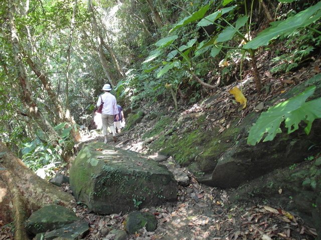 大板根森林度假區 (58).JPG