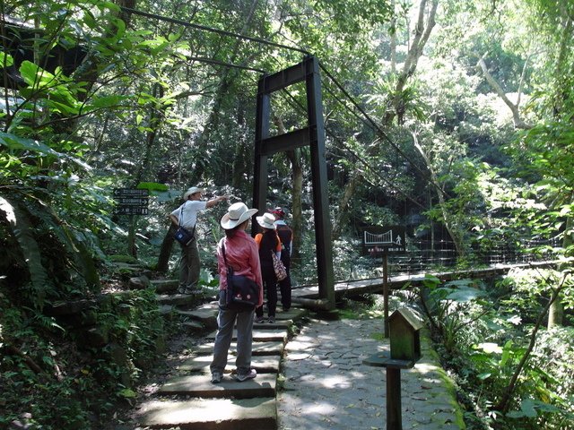 大板根森林度假區 (67).JPG