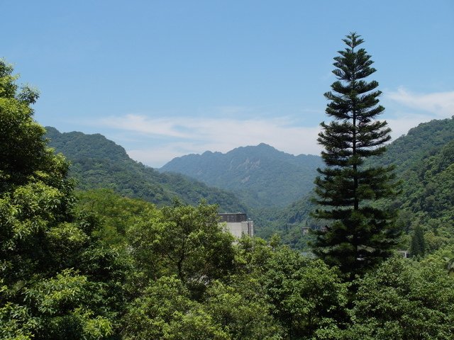 大板根森林度假區 (89).JPG