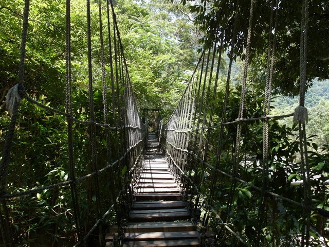 大板根森林度假區 (100).JPG