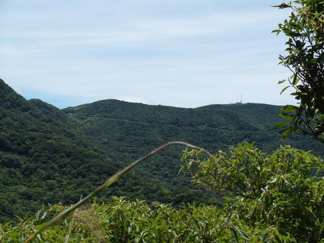 坪頂古圳步道、大崎頭步道 (84).JPG