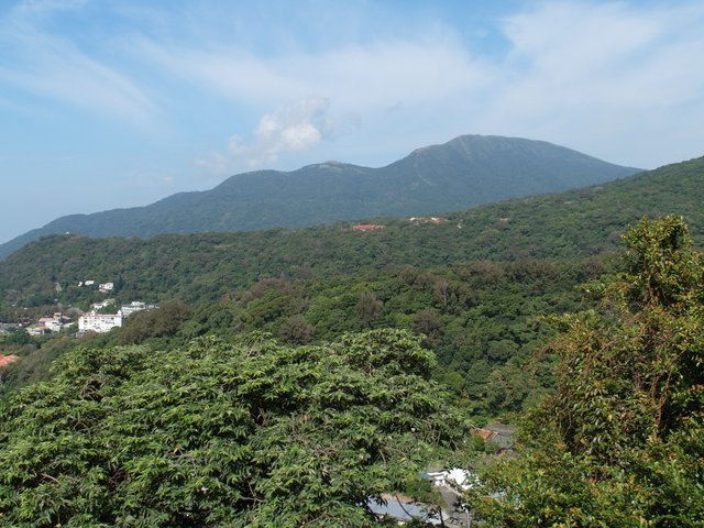 石梯嶺山、杏林山 (4).JPG