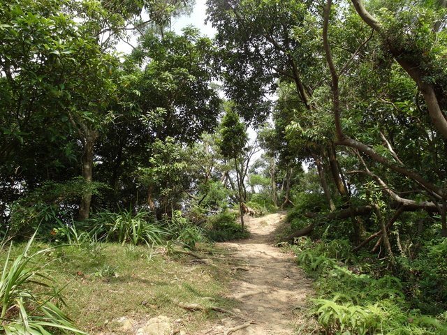 福州山 (97).JPG