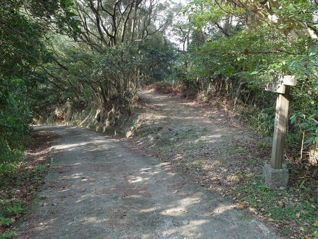 二龍山 (32).JPG