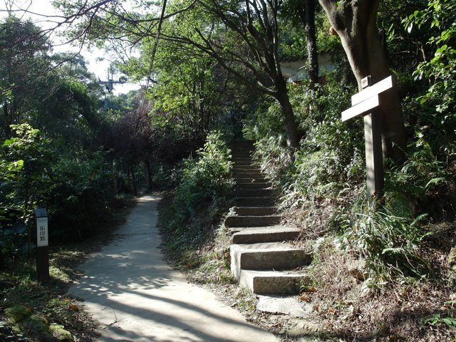 鳶山 (27).JPG