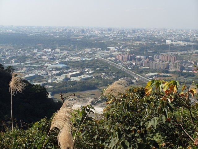 鳶山 (70).JPG