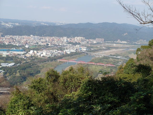 鳶山 (90).JPG